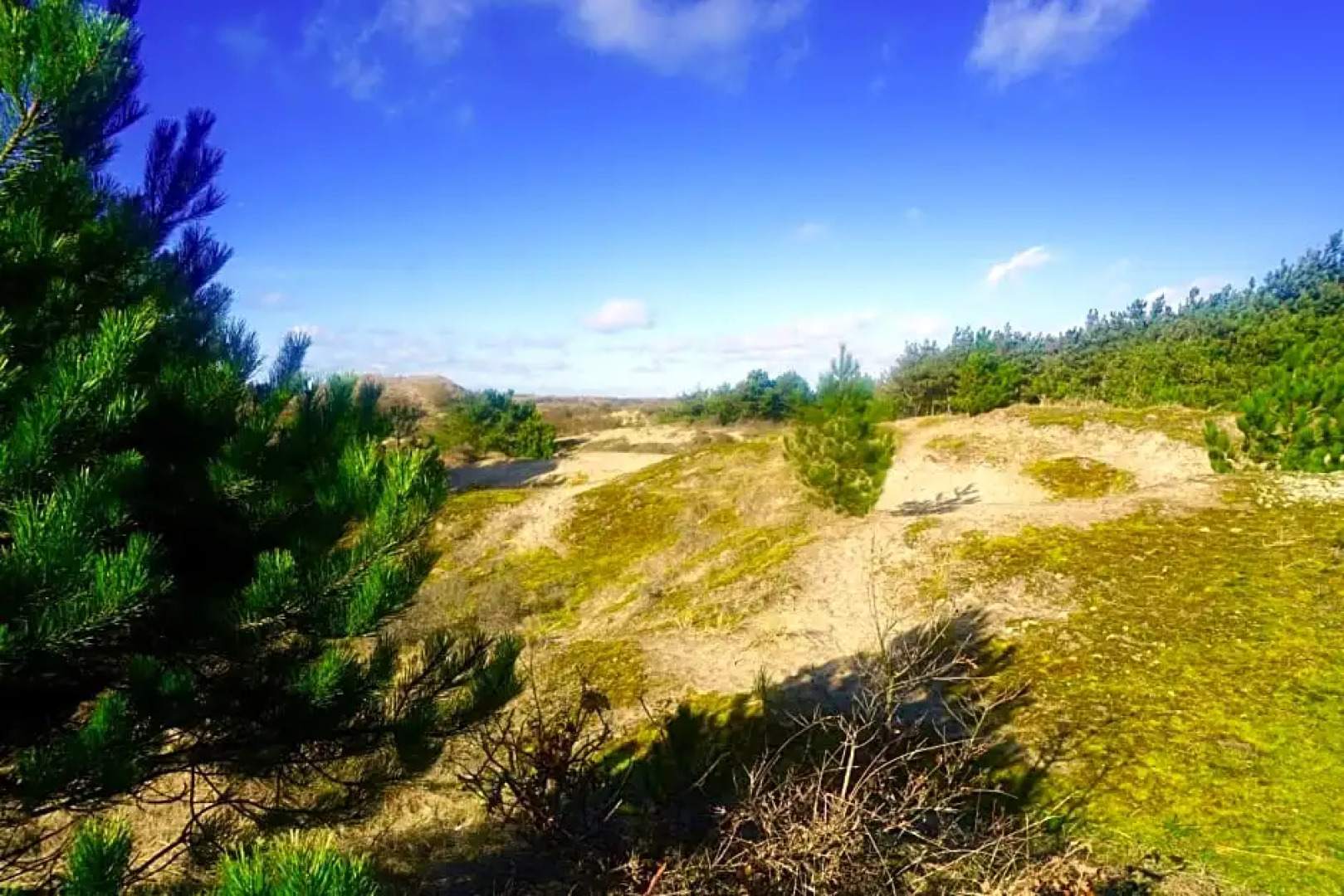 Bed and Breakfast Kik en Bun