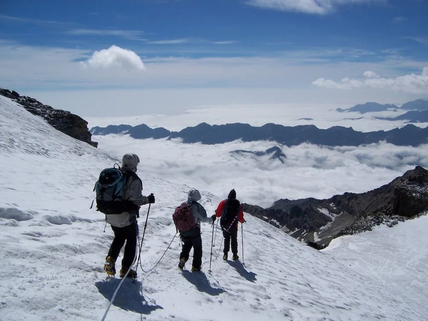 Ternelia - Le Telemark