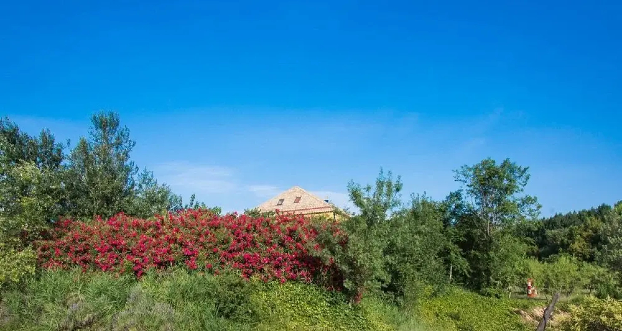 Hotel Rural 26 Labrador Adults only