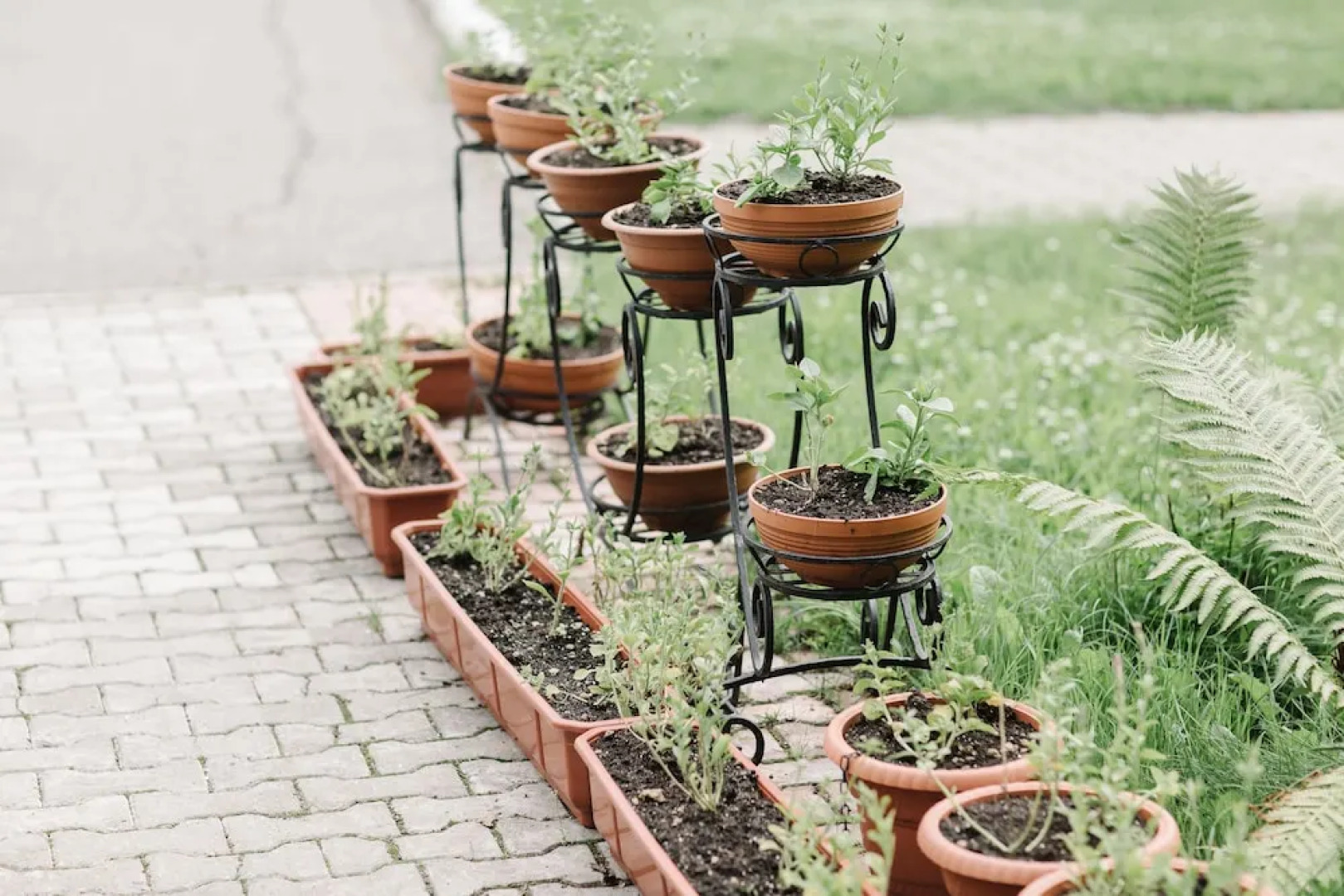 Бел-Кам-Тур