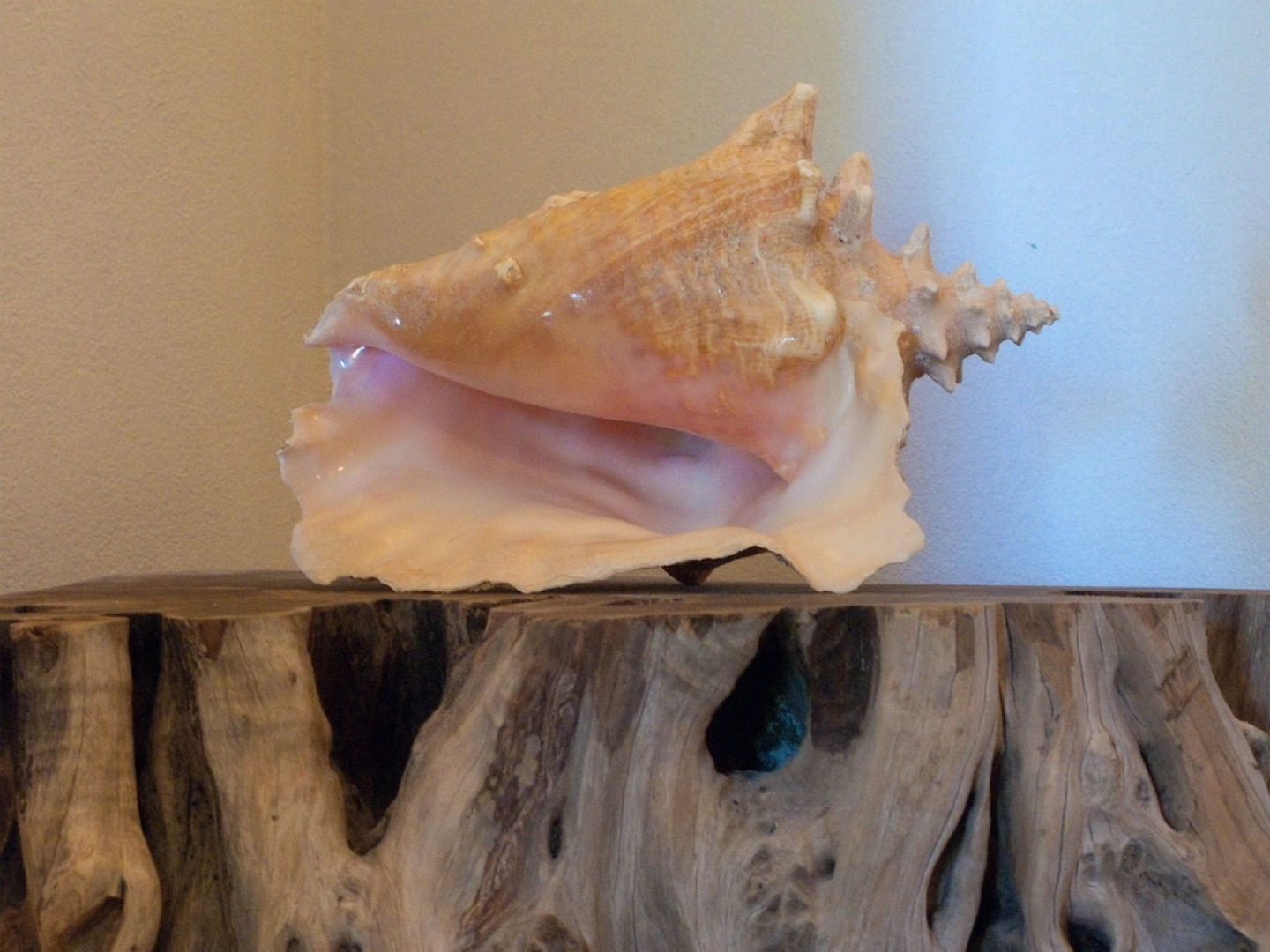 Firefly Estate Bequia