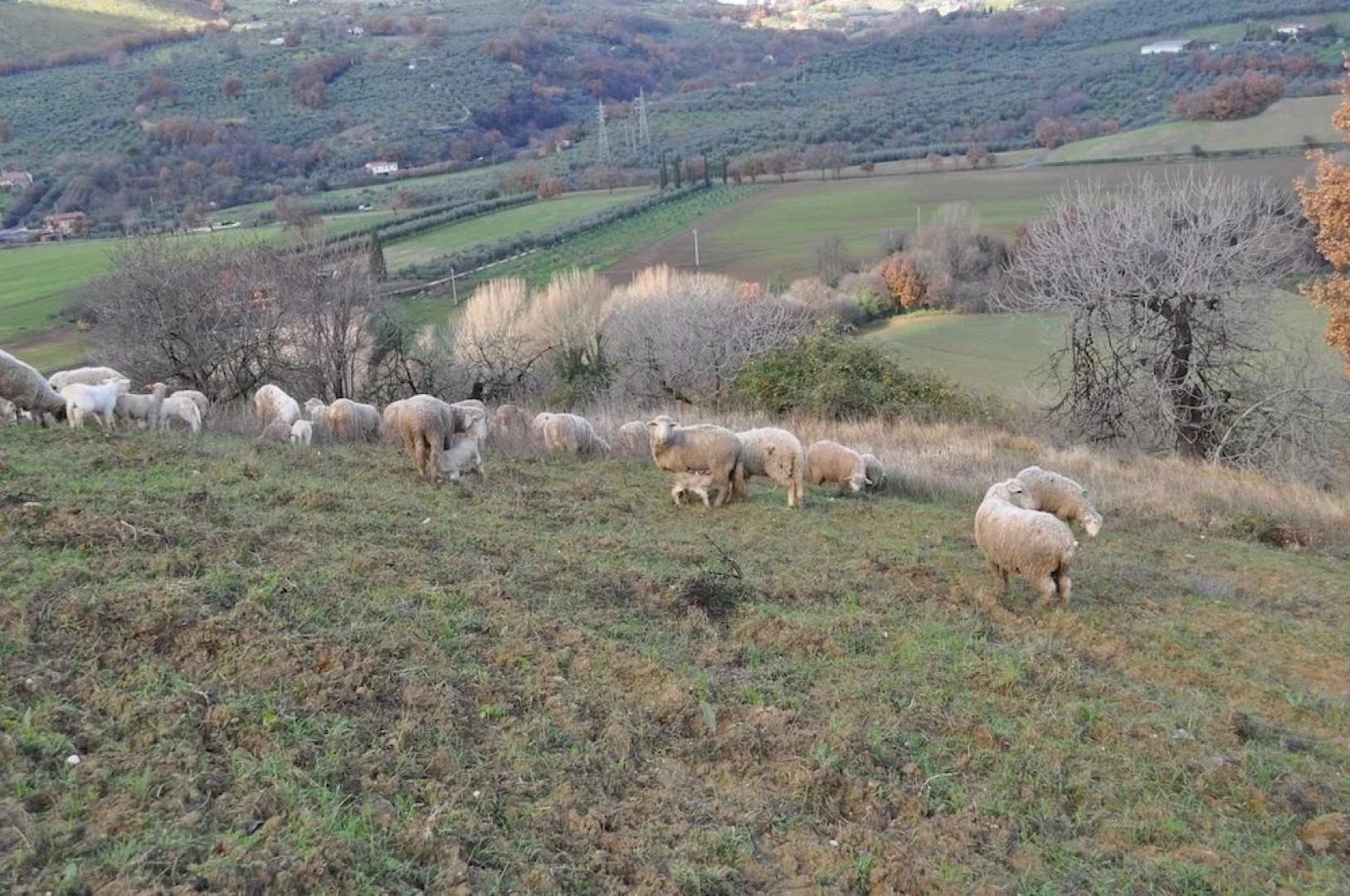 Agriturismo Il Gelso Nero