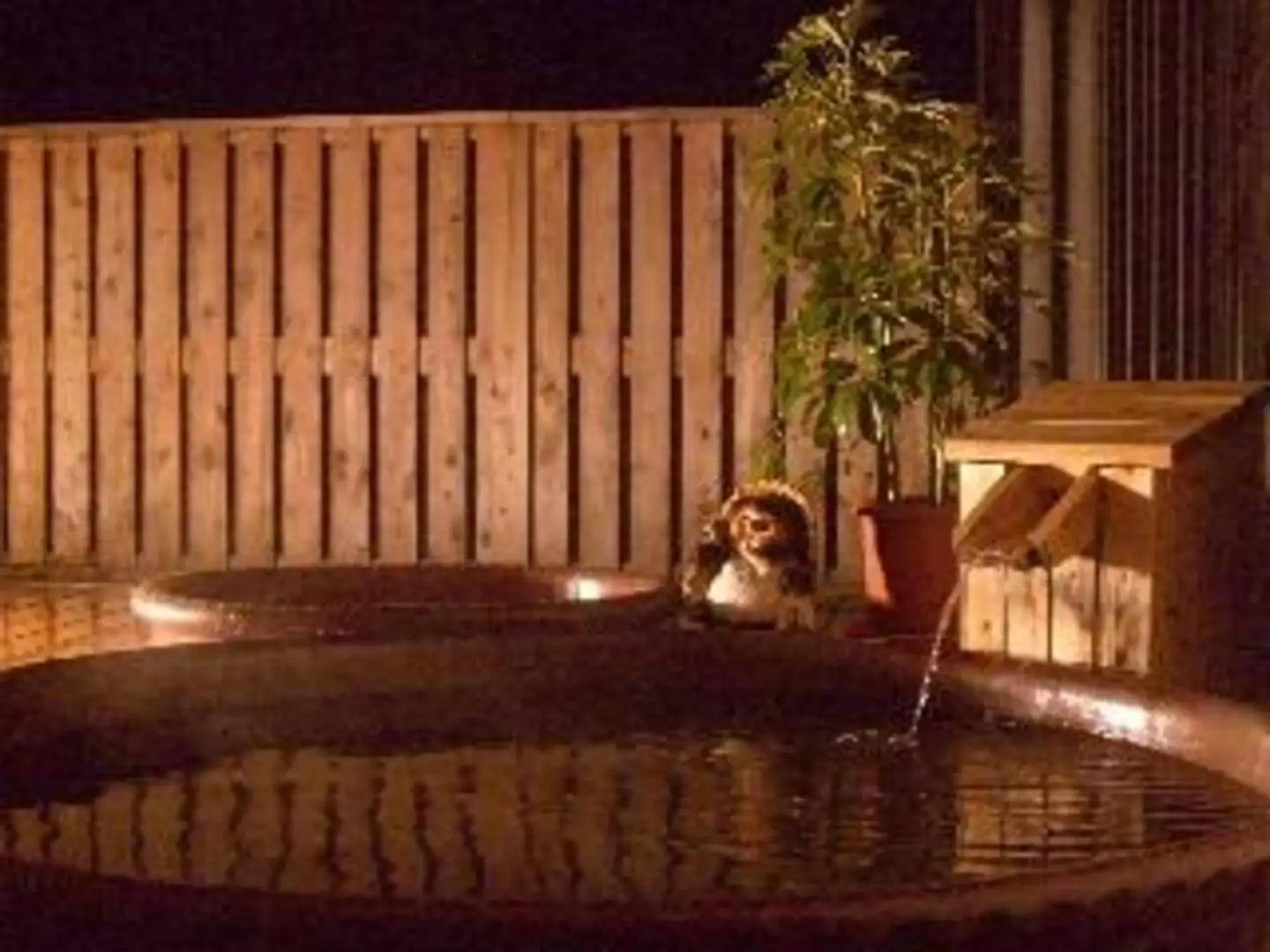 Kids Pension Fruit Juice (Awajishima)