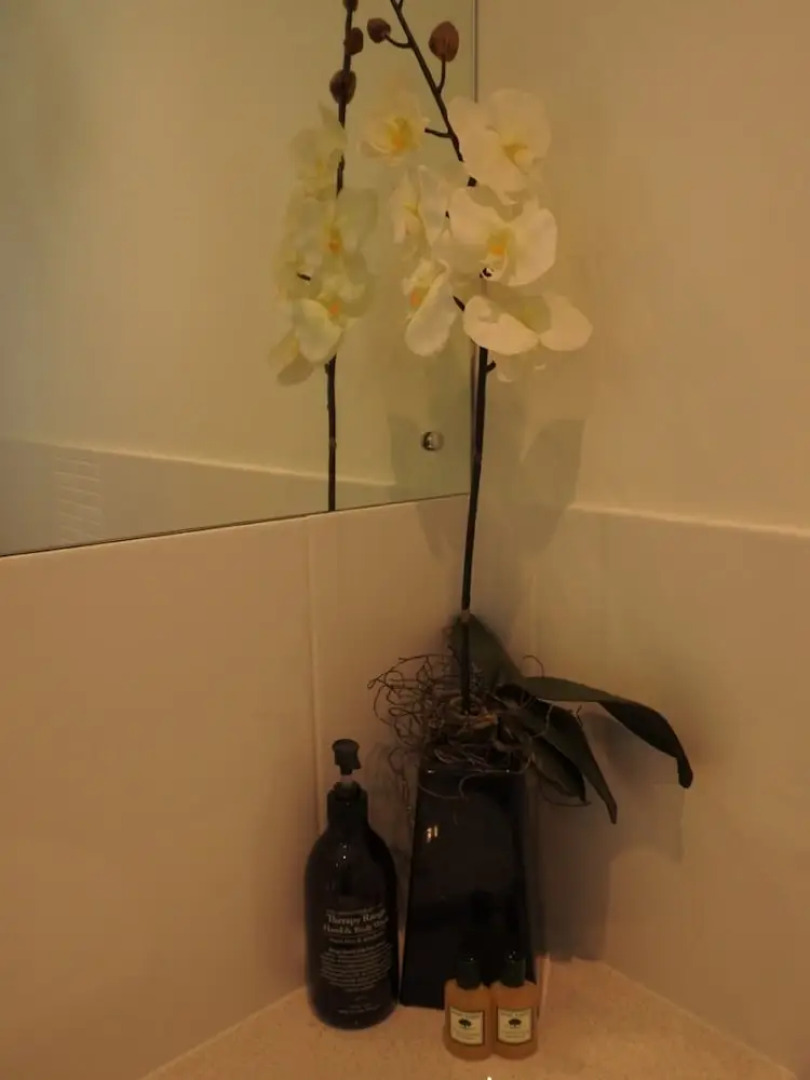 Sanctuary in the Valley