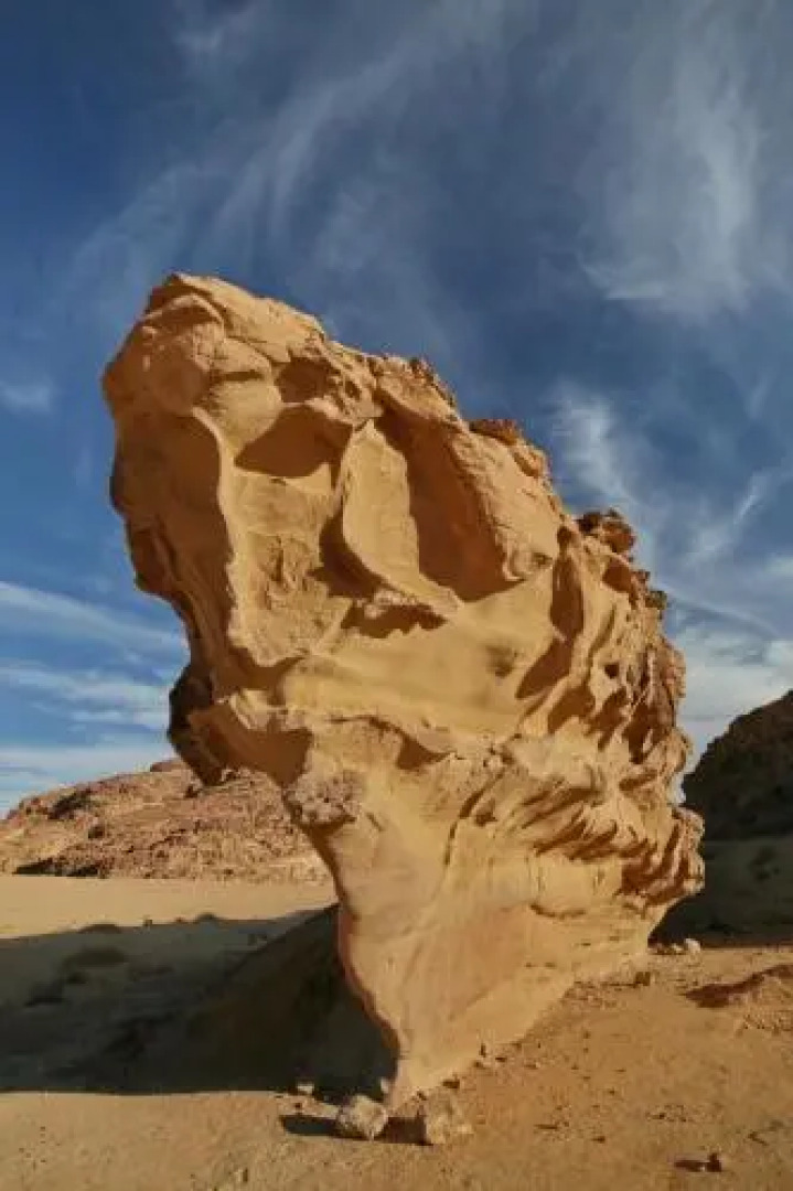 Bed & Breakfast Camp Mohamed Alzwaida