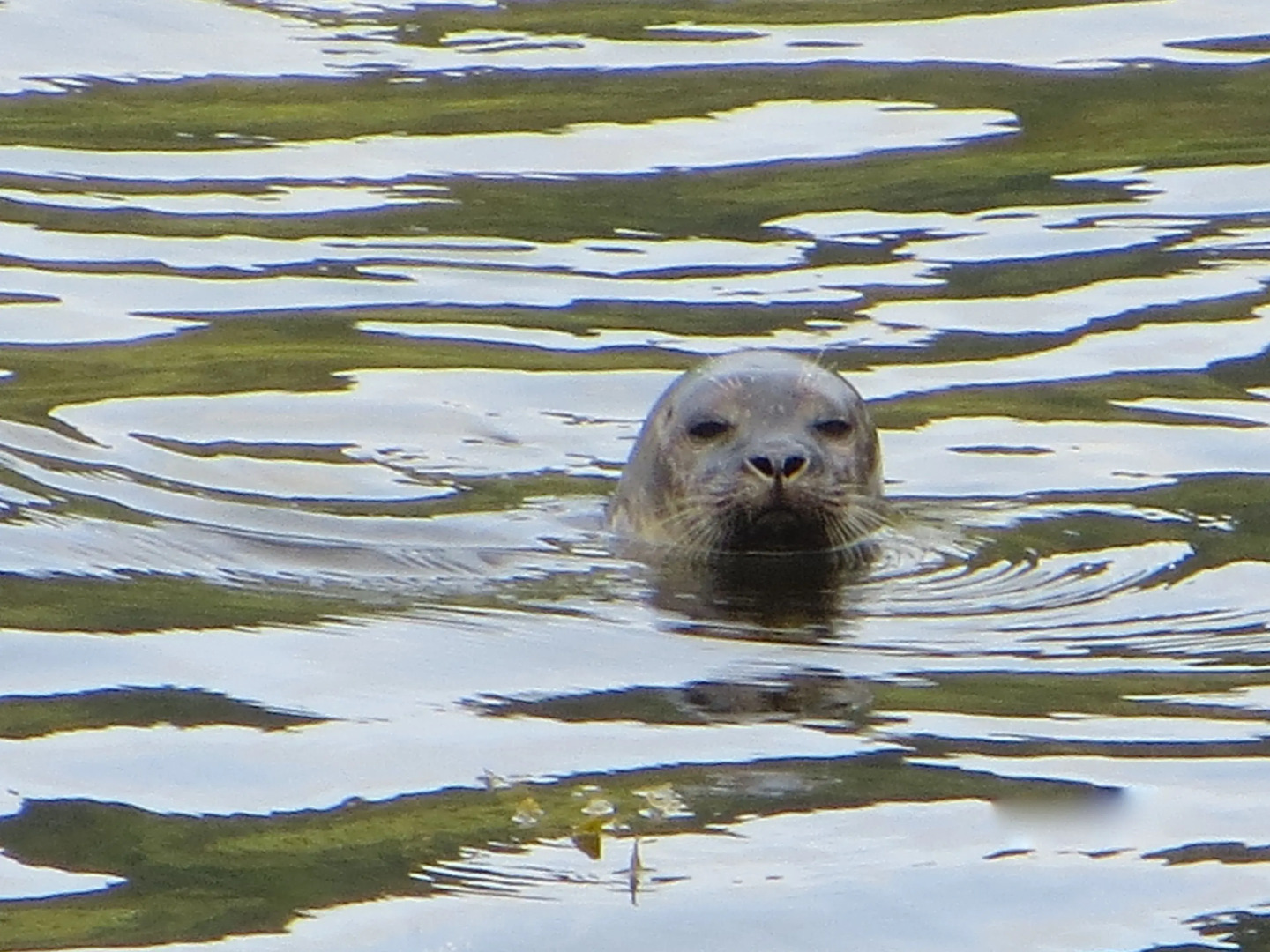Lochwood House B&B and Self Catering