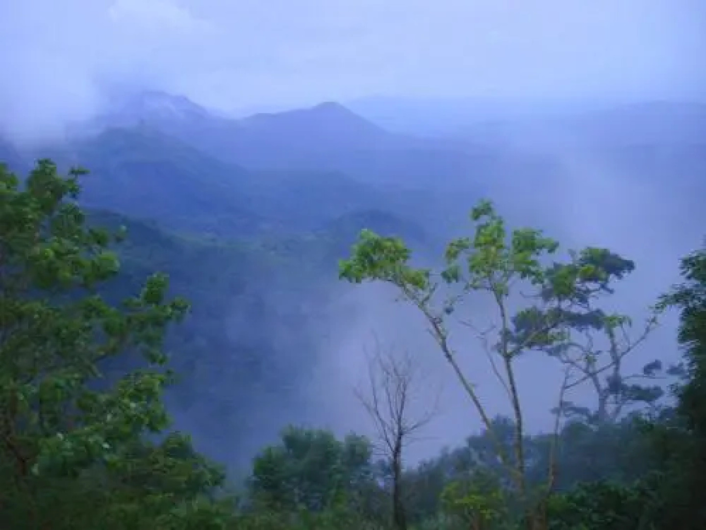 Hotel Rohini International