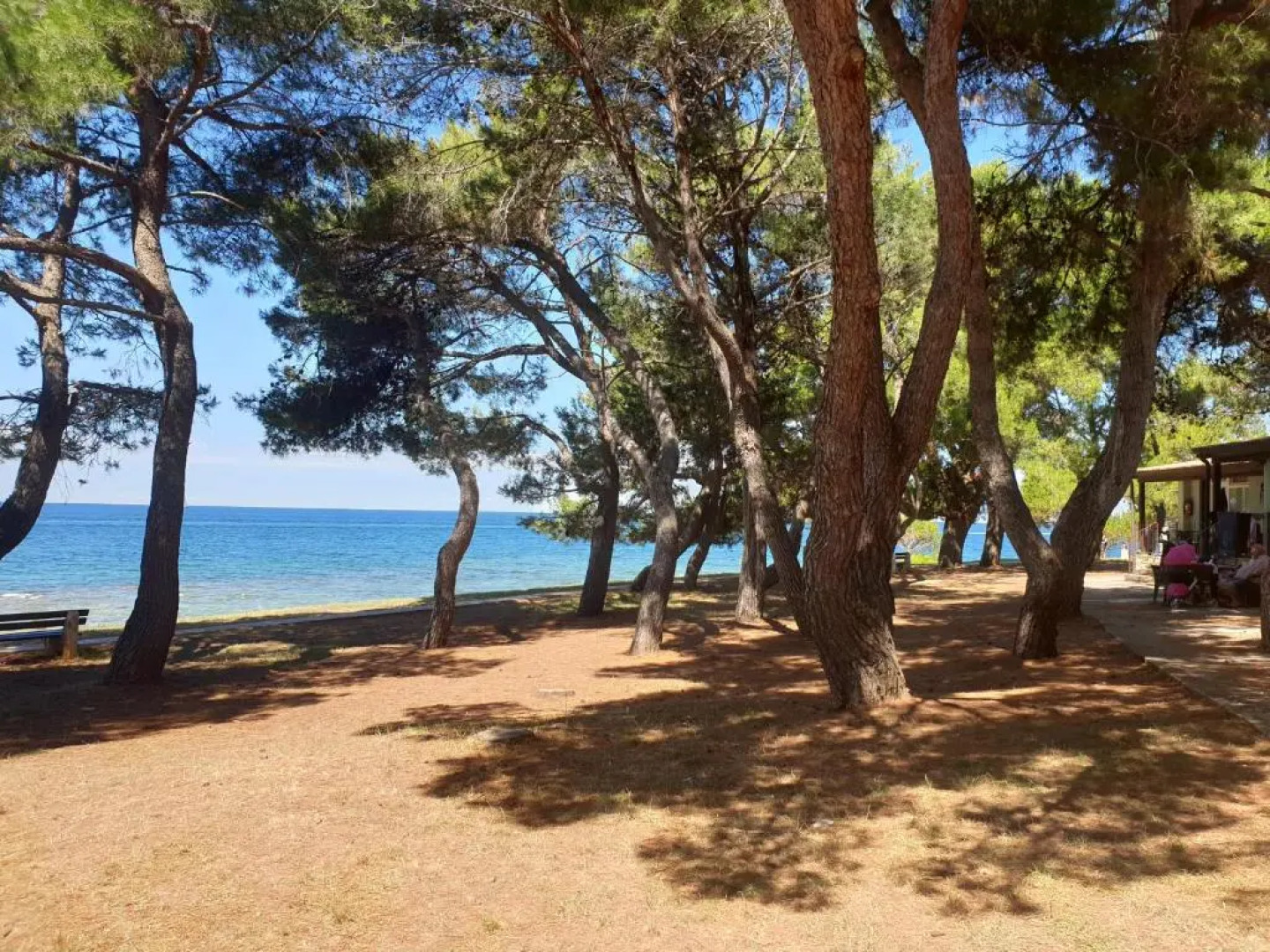 Youth Hostel Pinesta