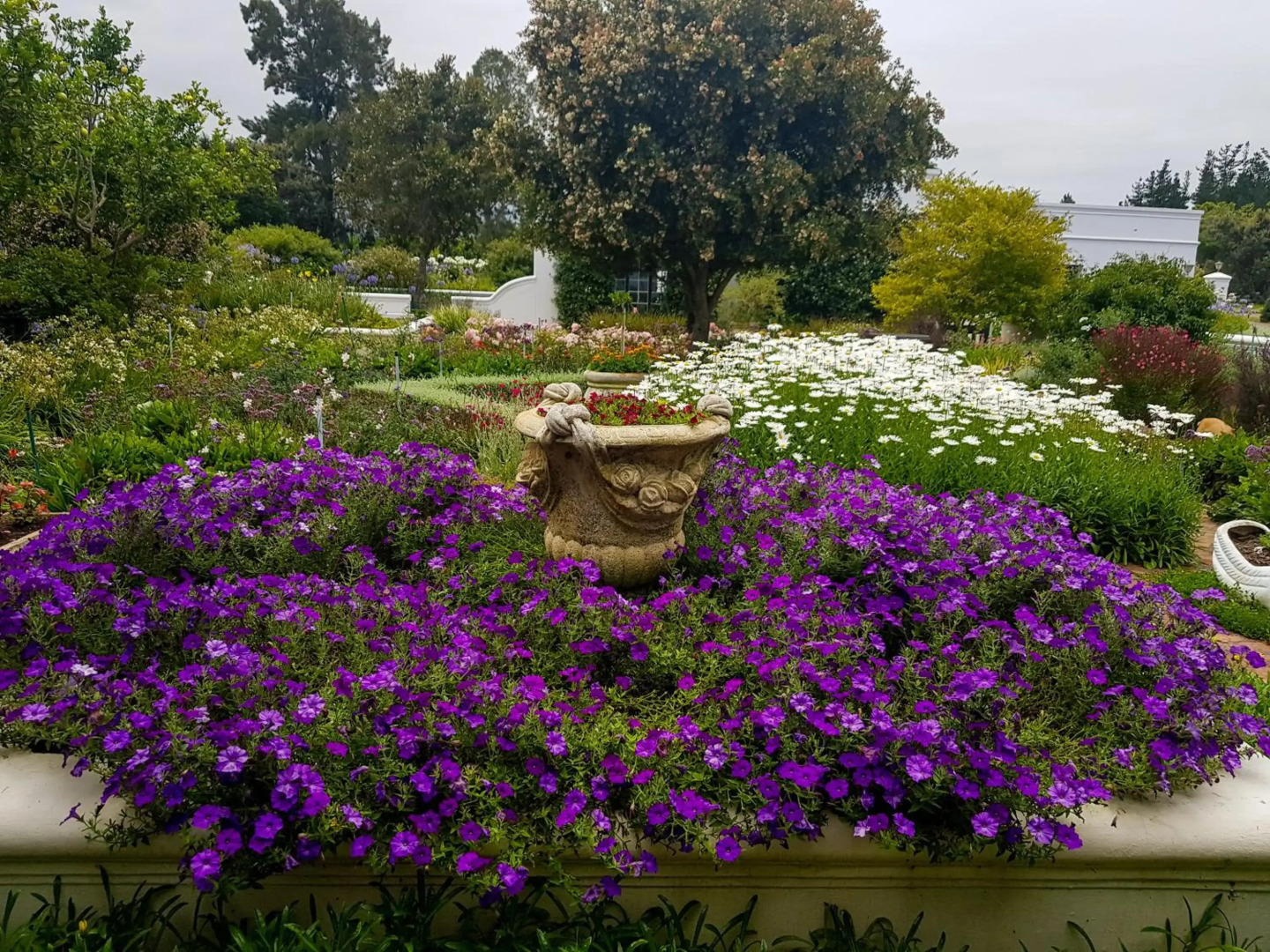 Greenhill Farm Manor House Plettenberg Bay - Private House Sleeps 8