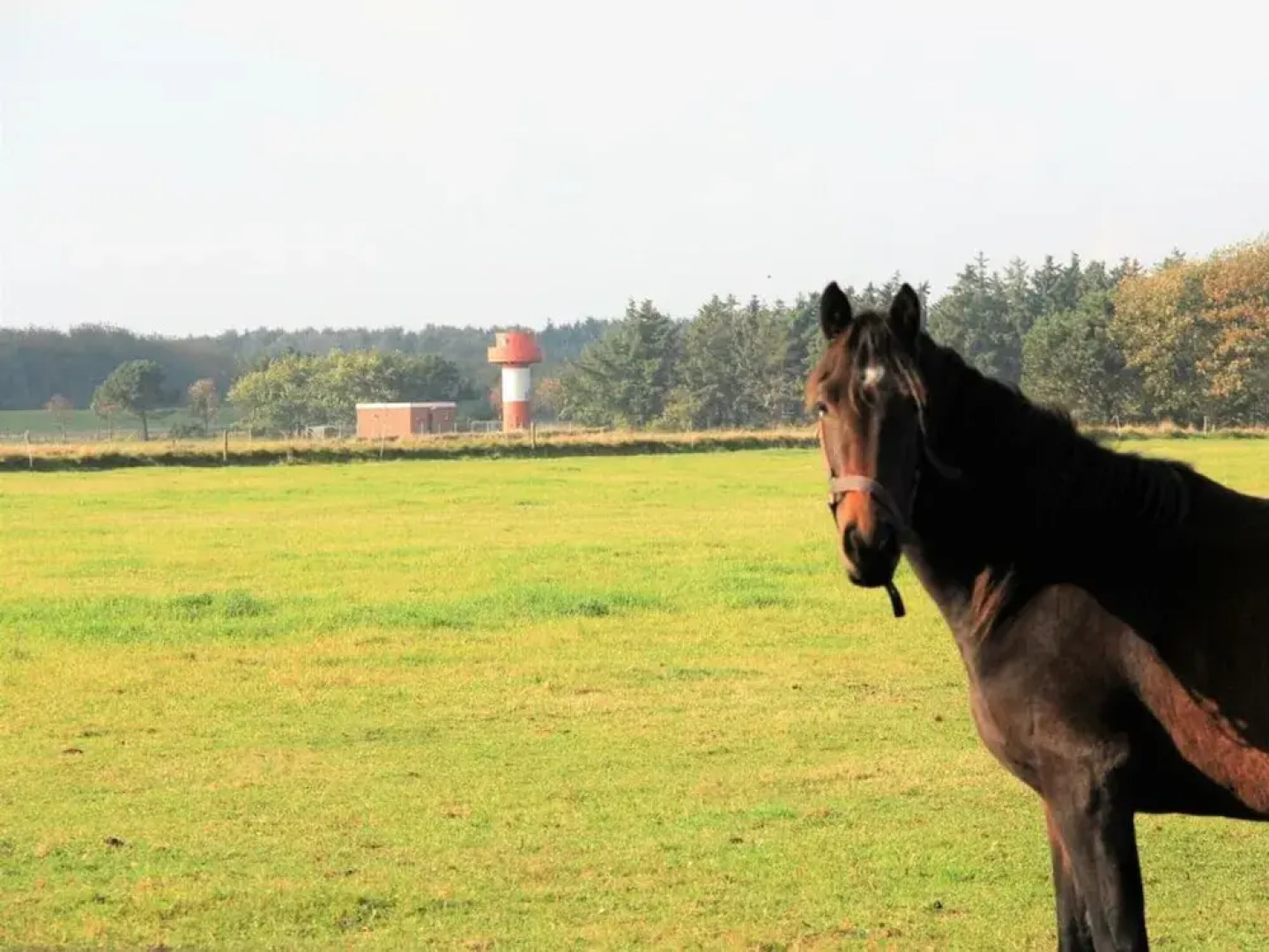 Westerheide Modern Retreat