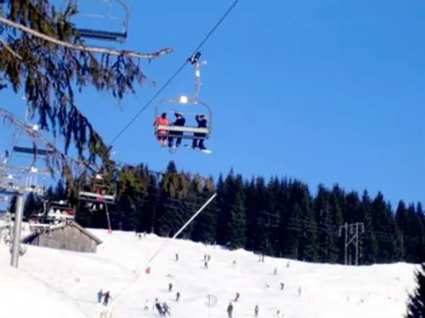 L'ours Blanc Lodge (Adults Only)