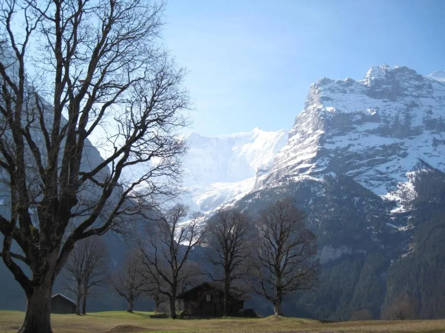 Superior Apartment 100m2 Bodmisonne - Grindelwald