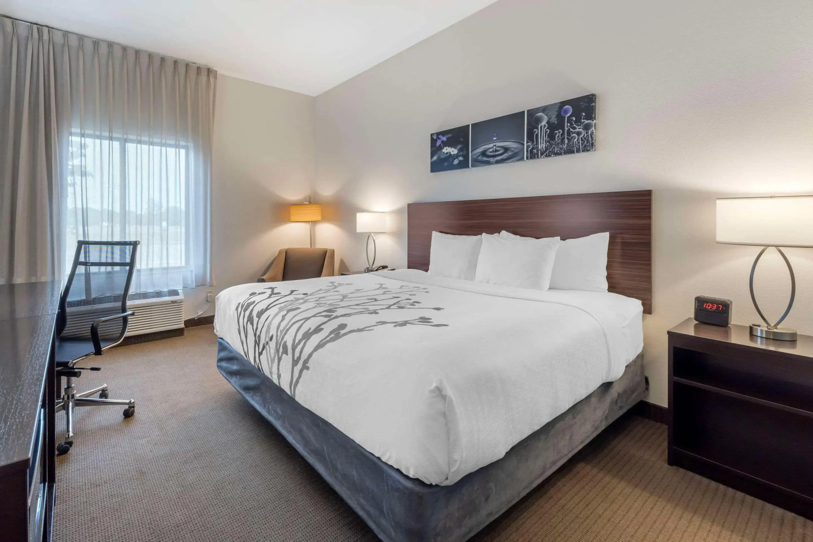 Sleep Inn & Suites Norman near University