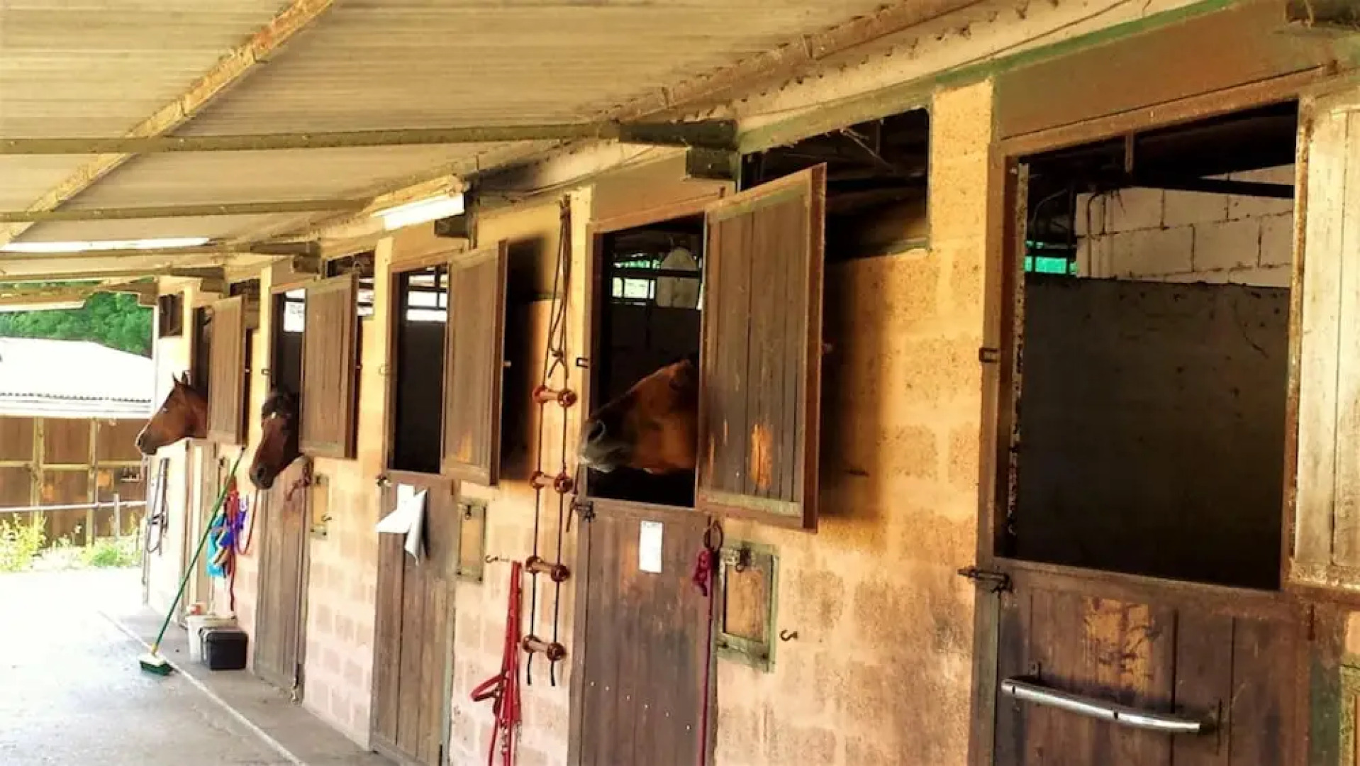 Villa With 7 Bedrooms in Pesaro, With Private Pool, Enclosed Garden an