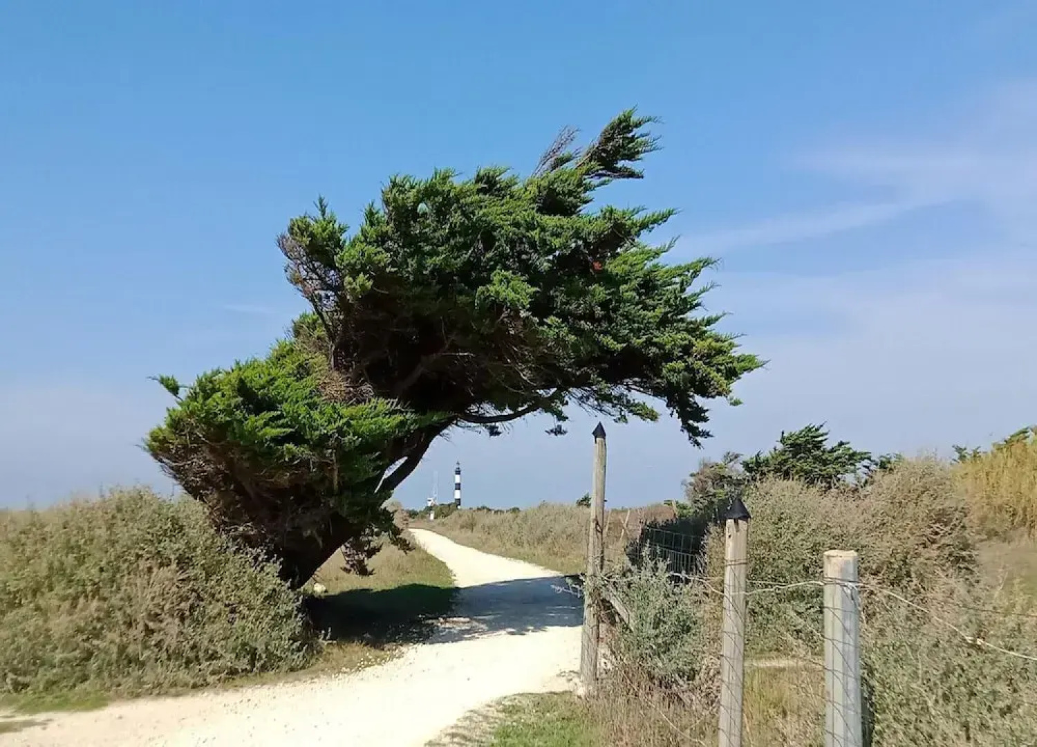 Les Hameaux des Sables Vignie, Saint-georges-d'oleron, Holiday Home not Detached