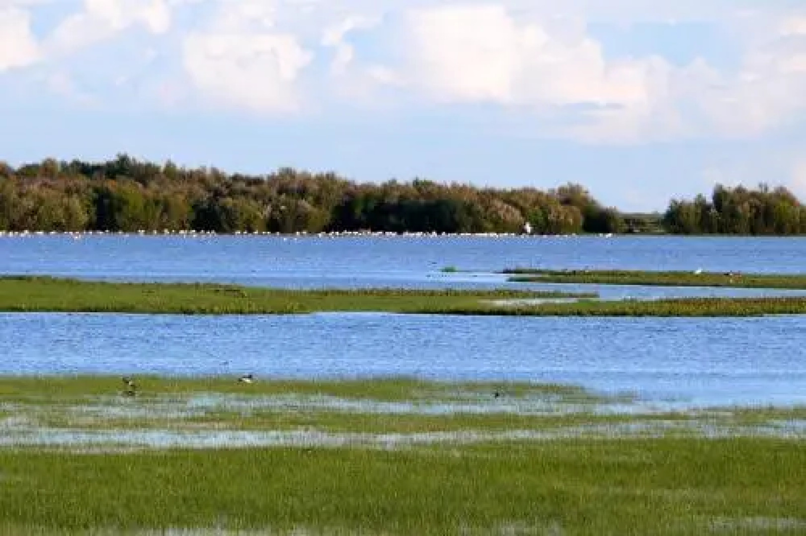 Apartamentos Peregrinos