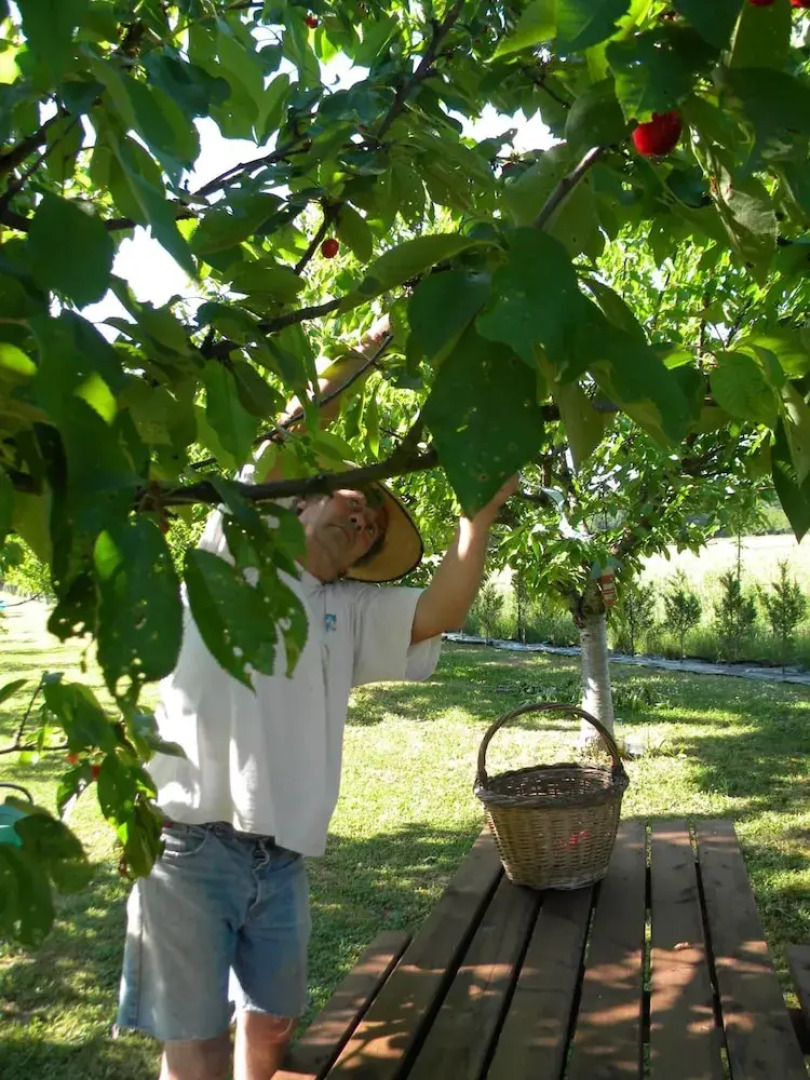 Chambres d'hotes Le Mas Castel