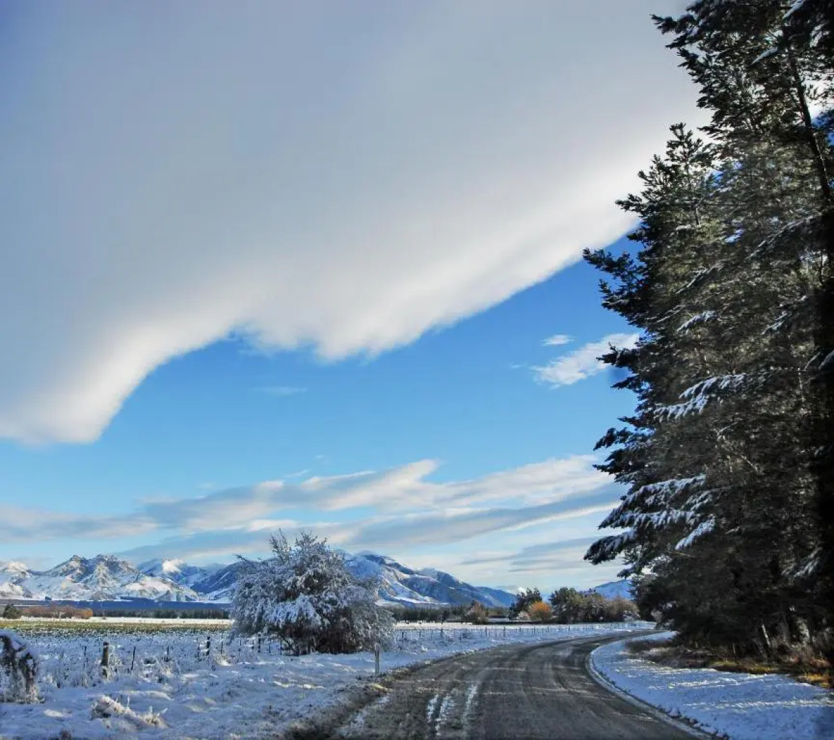Woodbank Park Cottages