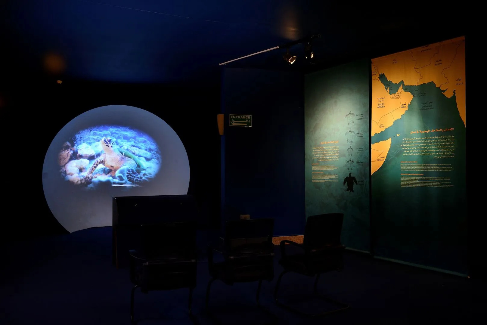 Ras Al Jinz Turtle Reserve