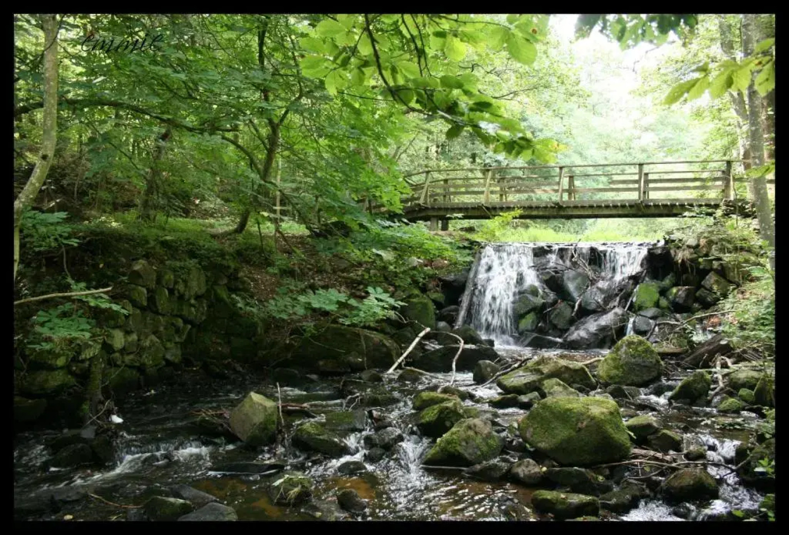 Degeberga Stugby & Vandrarhem