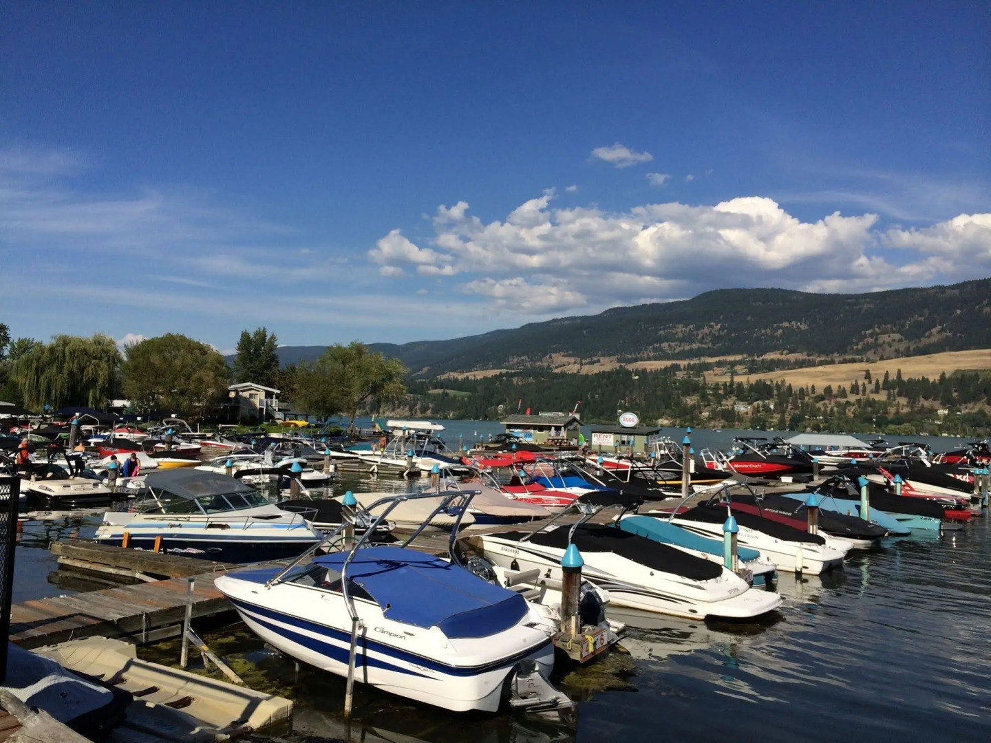 Turtle Bay Marina Resort