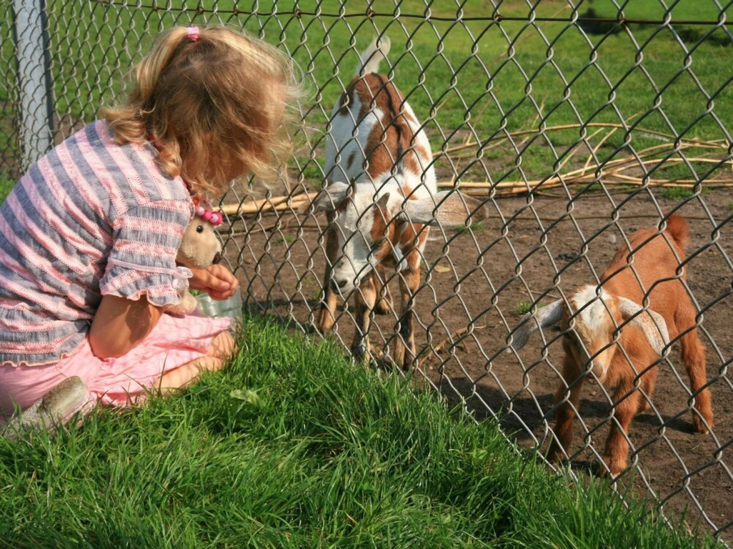 Family Retreat With Garden