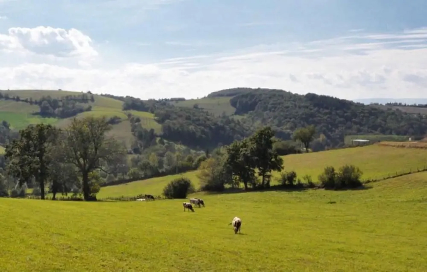 La Maison Blanche Des Acacias