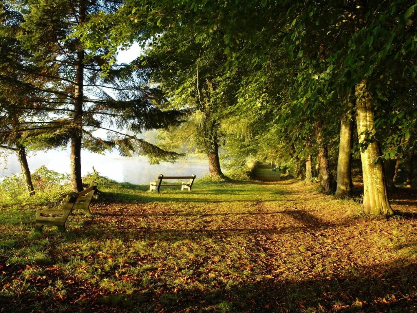 Dependance of a 16th Century Castle Listed as an Historical Monument!