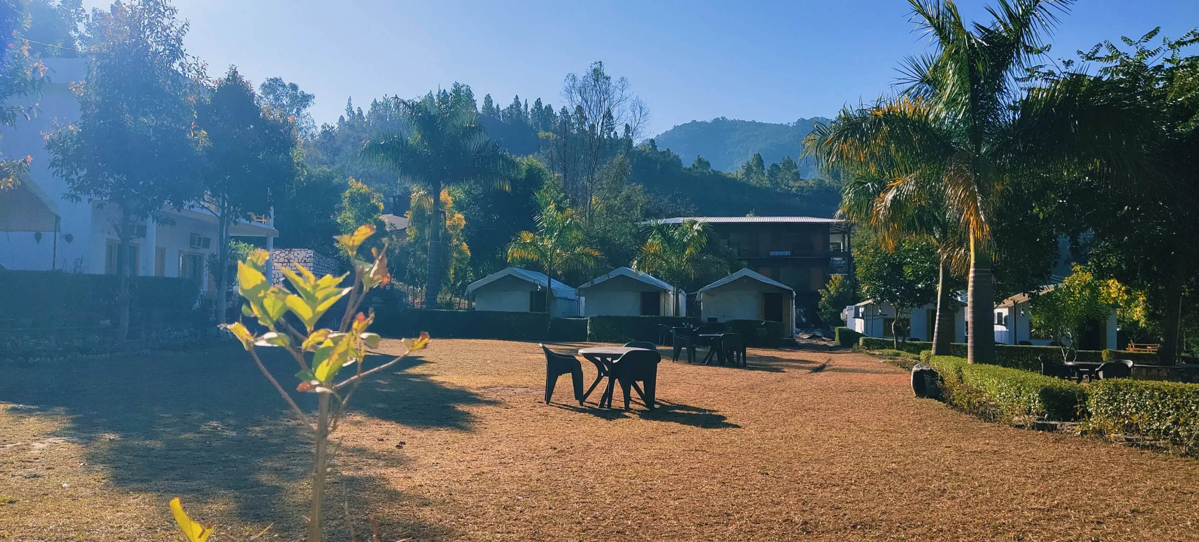 Corbett Hunters (Previously known as Taarini Corbett)