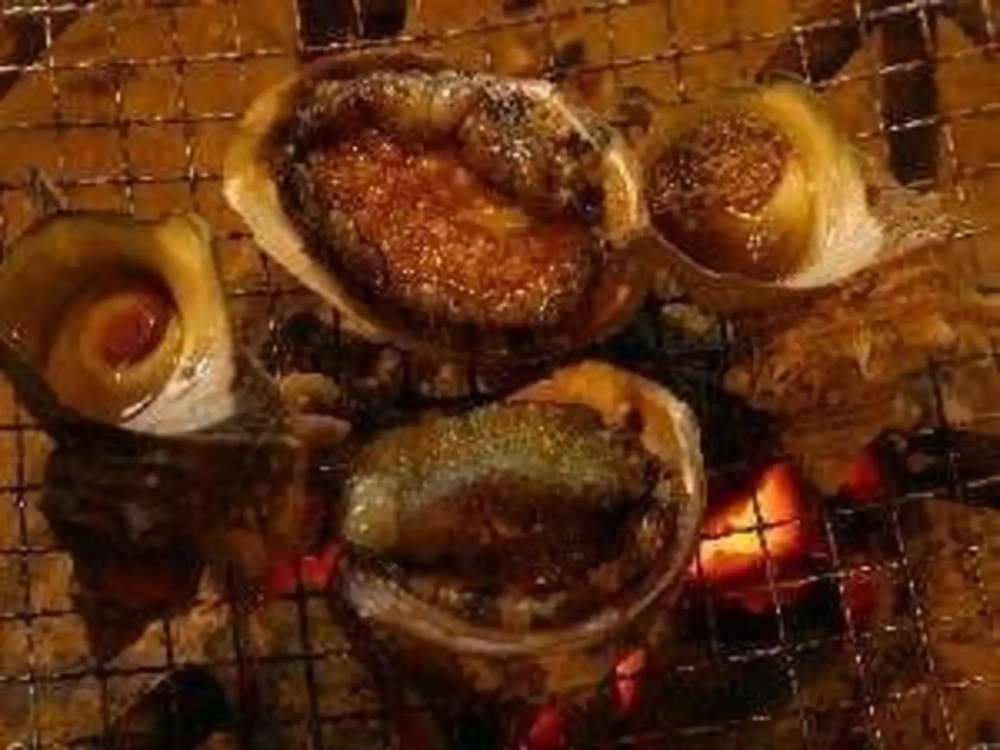 Sango no Yu Yadokari