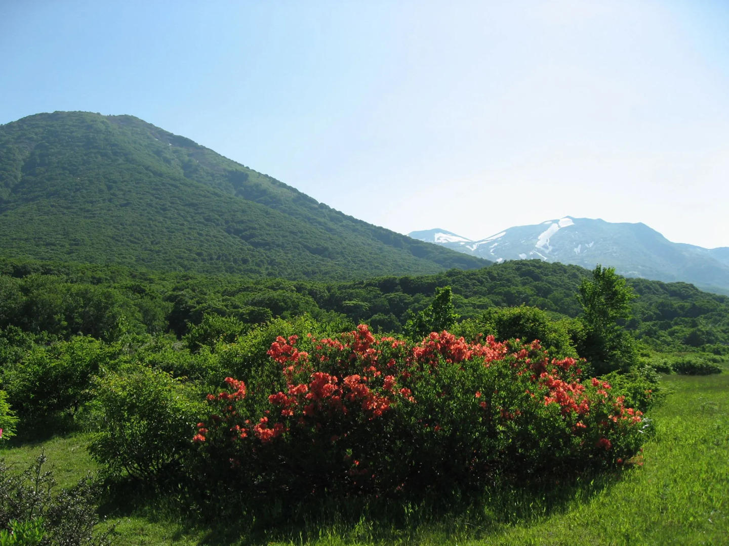 Hotel Crown Palais Aomori