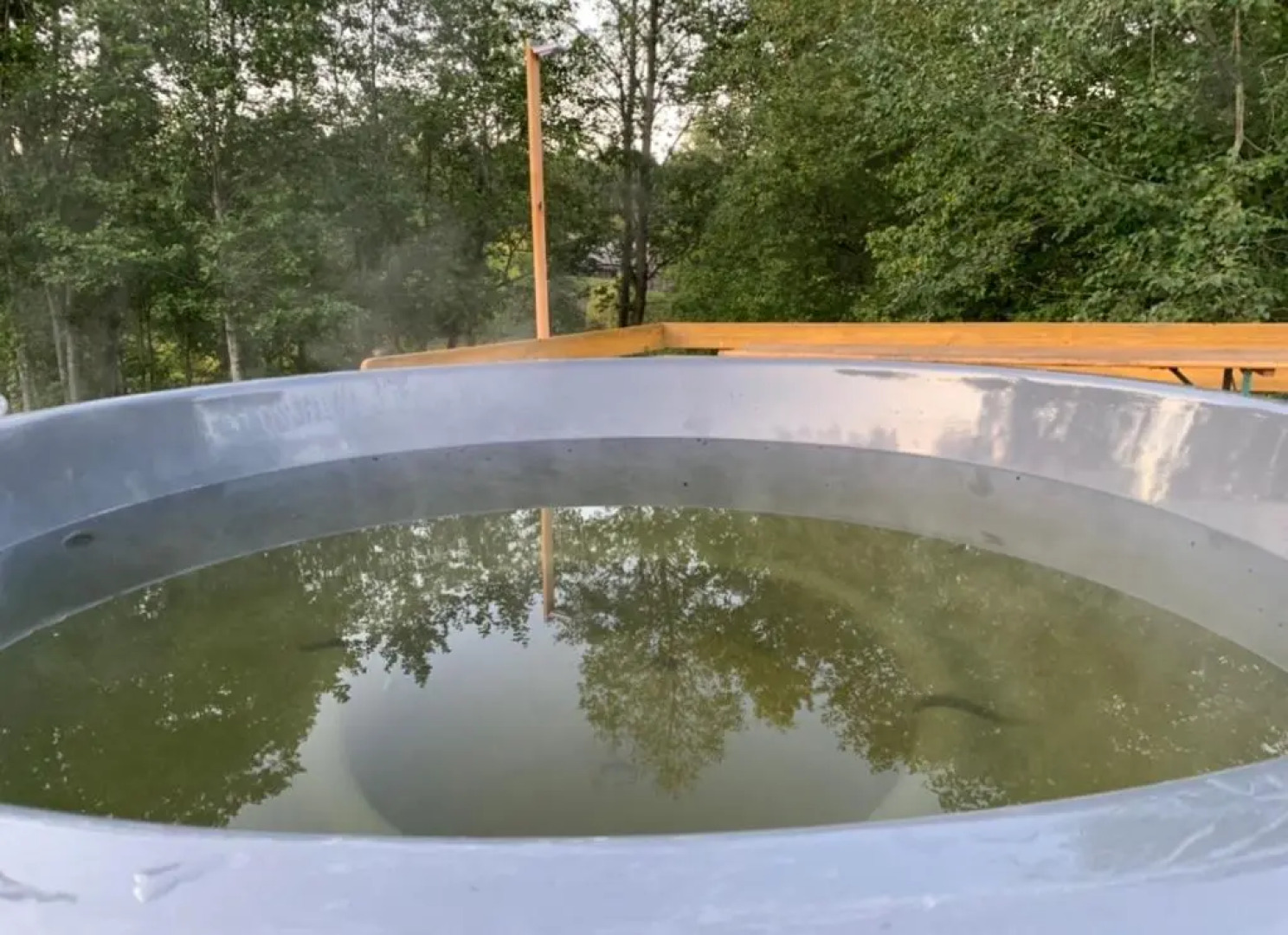 Anykščių raj. Žalioji Stotelė