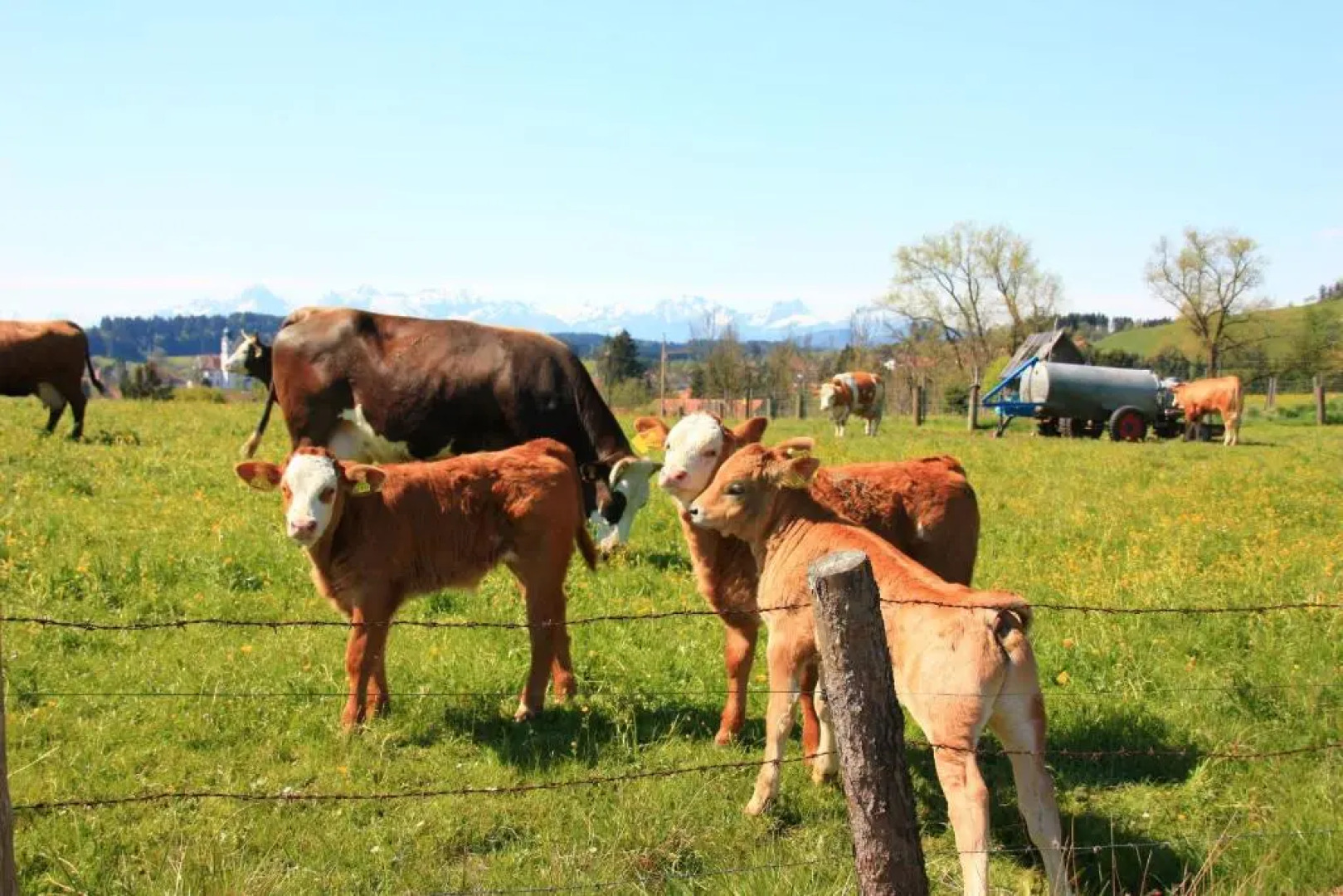 Feriendorf Via Claudia Haus 100 Dominique