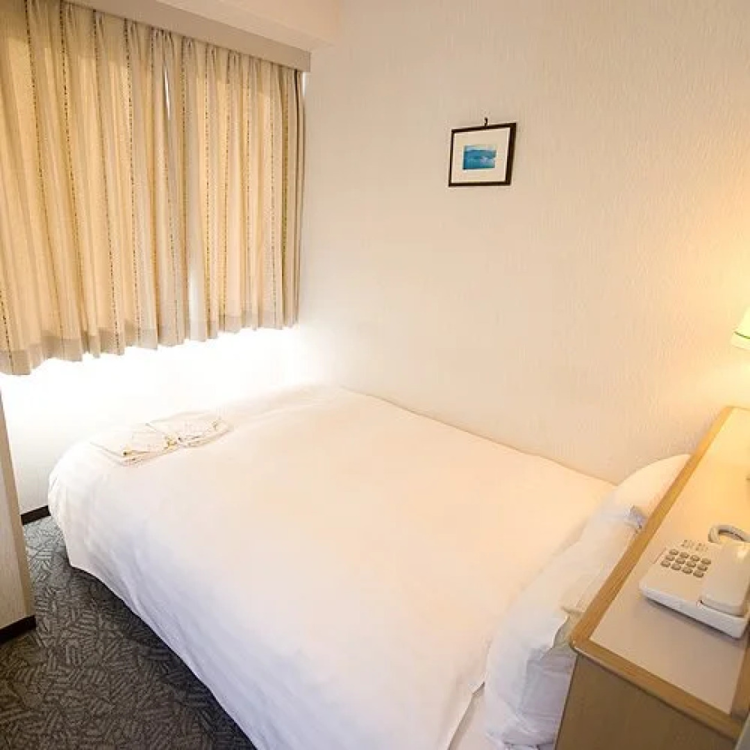 Hotel Park Inn Toyama
