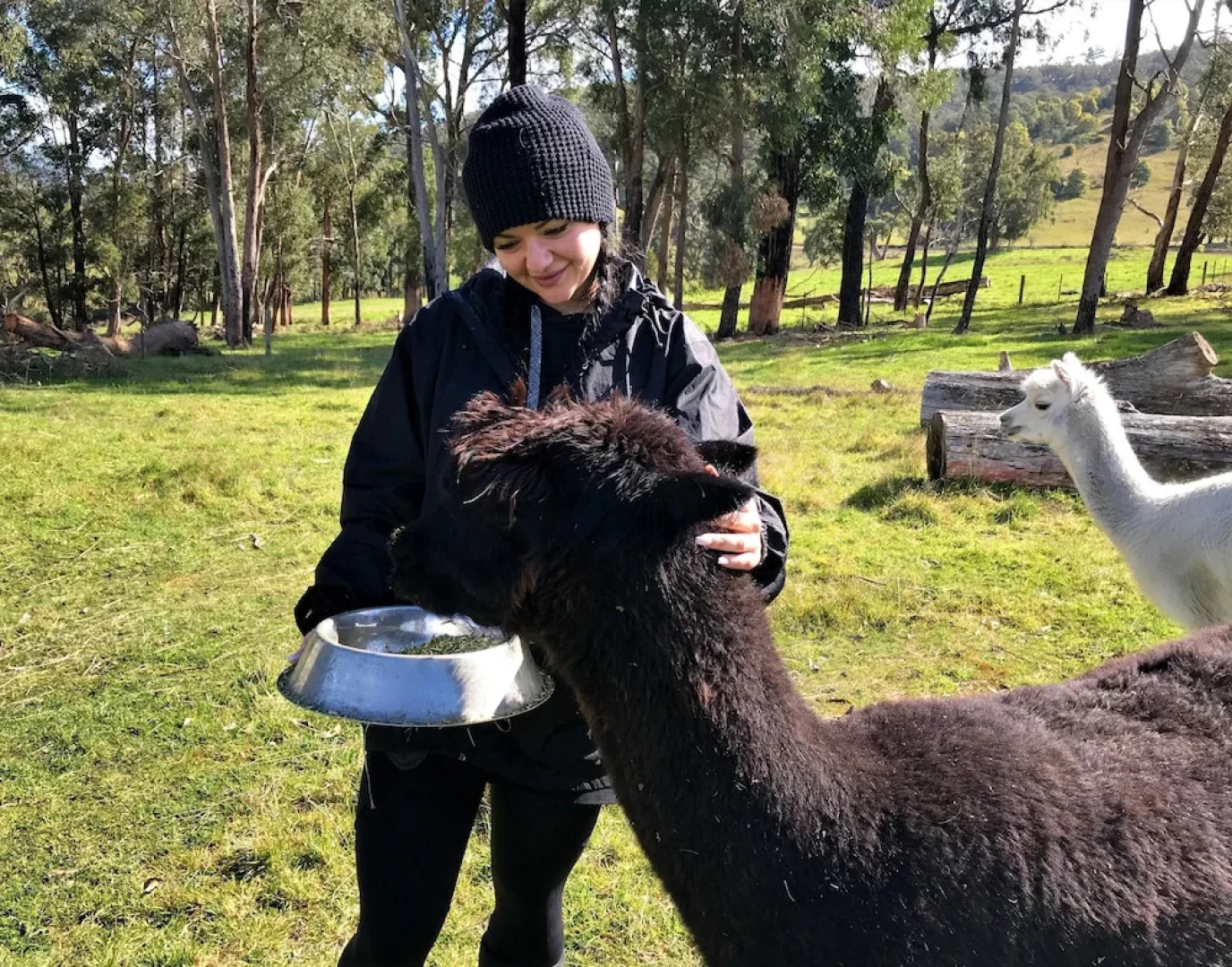 Highland Getaway - Adults Only