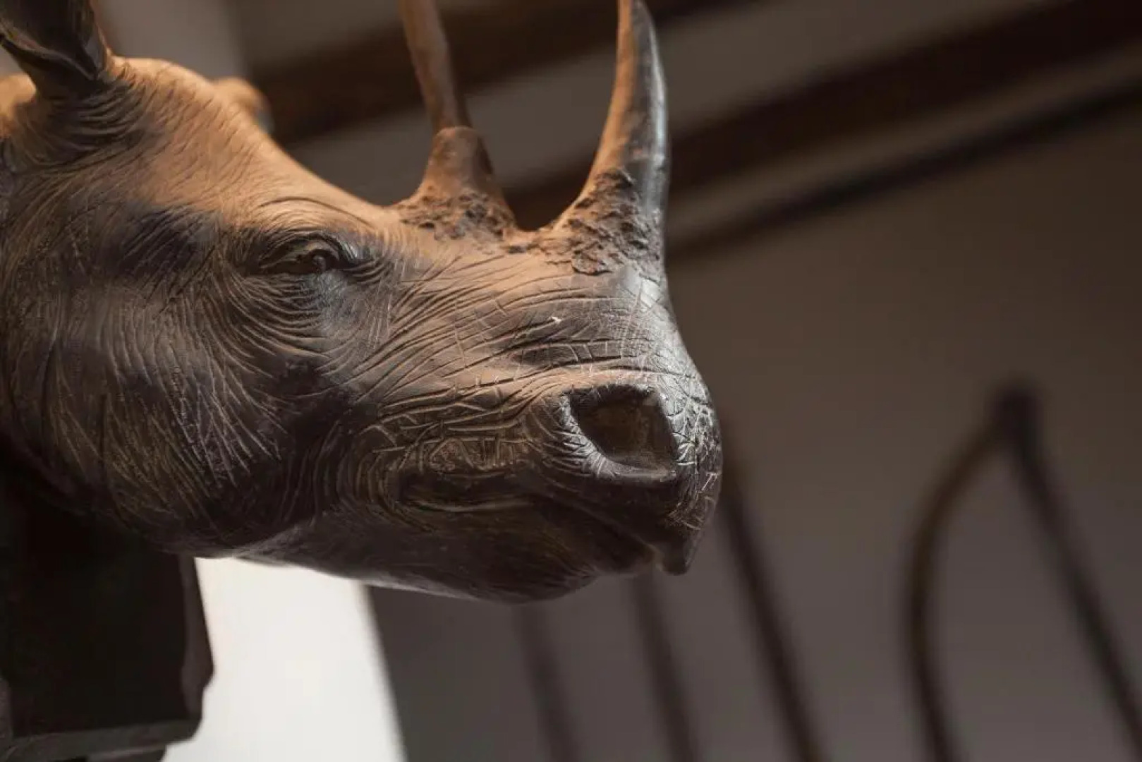 Three Little Pigs Luxury Cottage