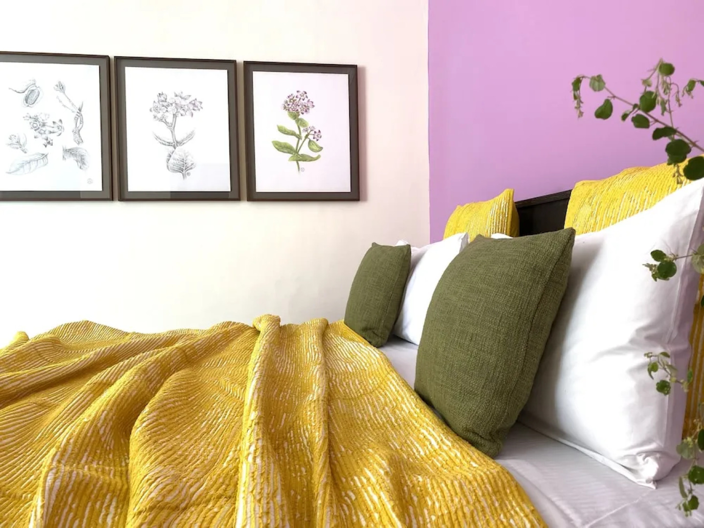 Kaner Retreat - India's First Desert Botanical Resort