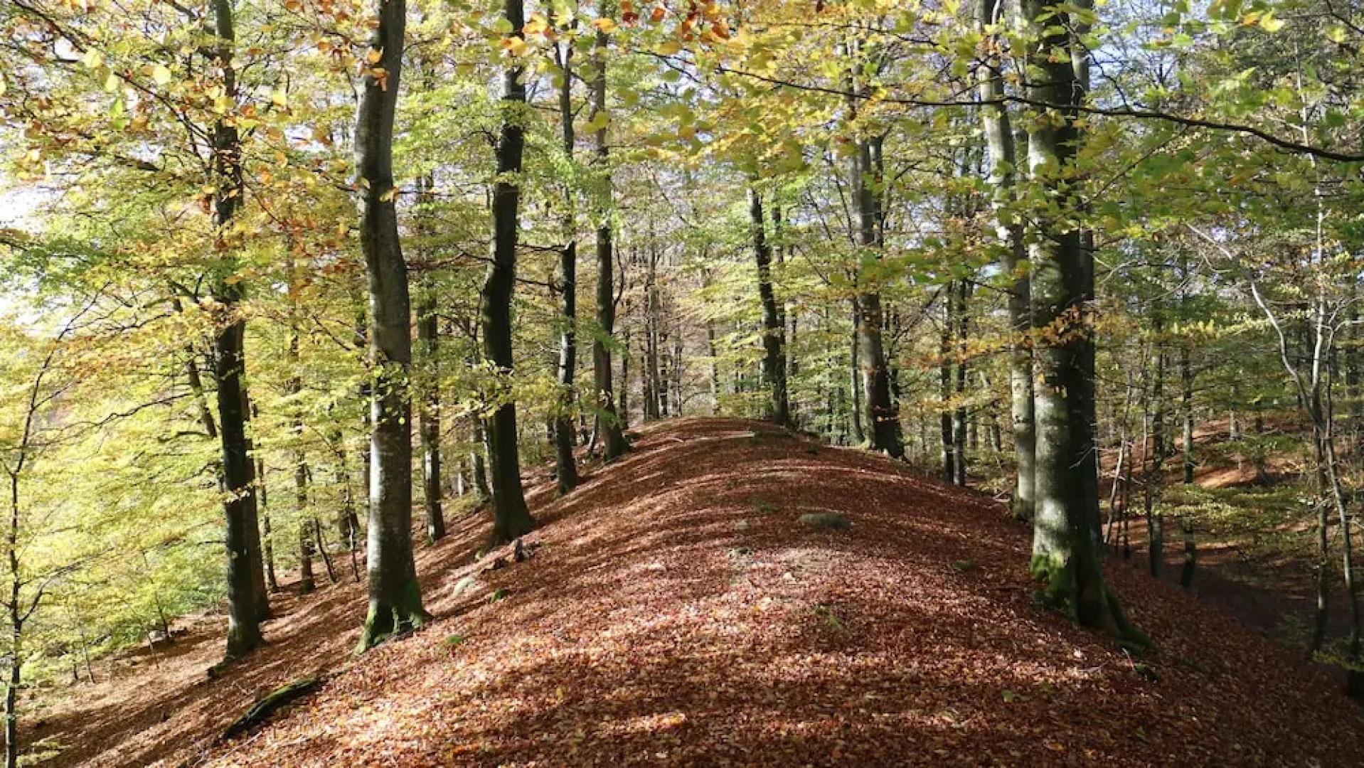 Grottbyn - Skånes Djurparks Camping