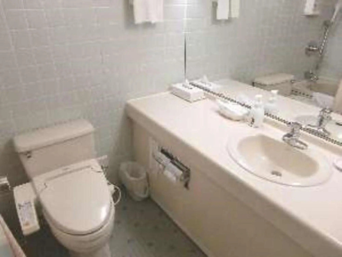 Loisir Hotel Toyohashi