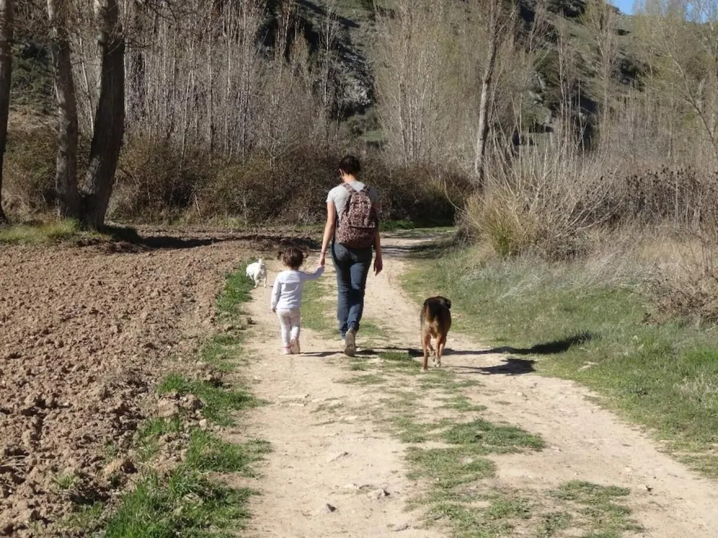 Apartamentos Turísticos Los Atardeceres