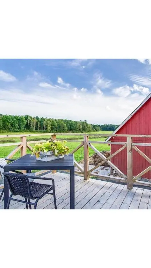 D'Lyon Stud and Sporthorses