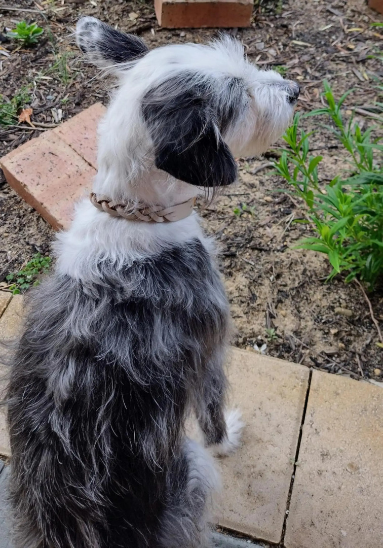 Yanchep Seaside Cottage