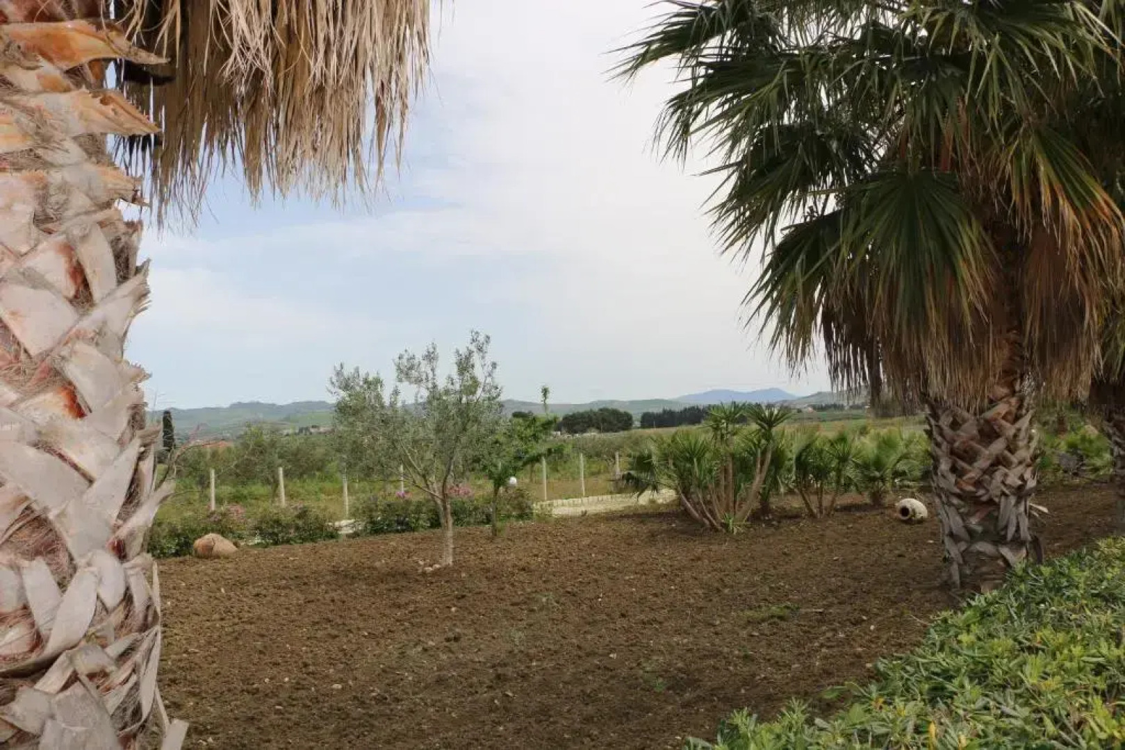 Villa Delle Palme Delfina