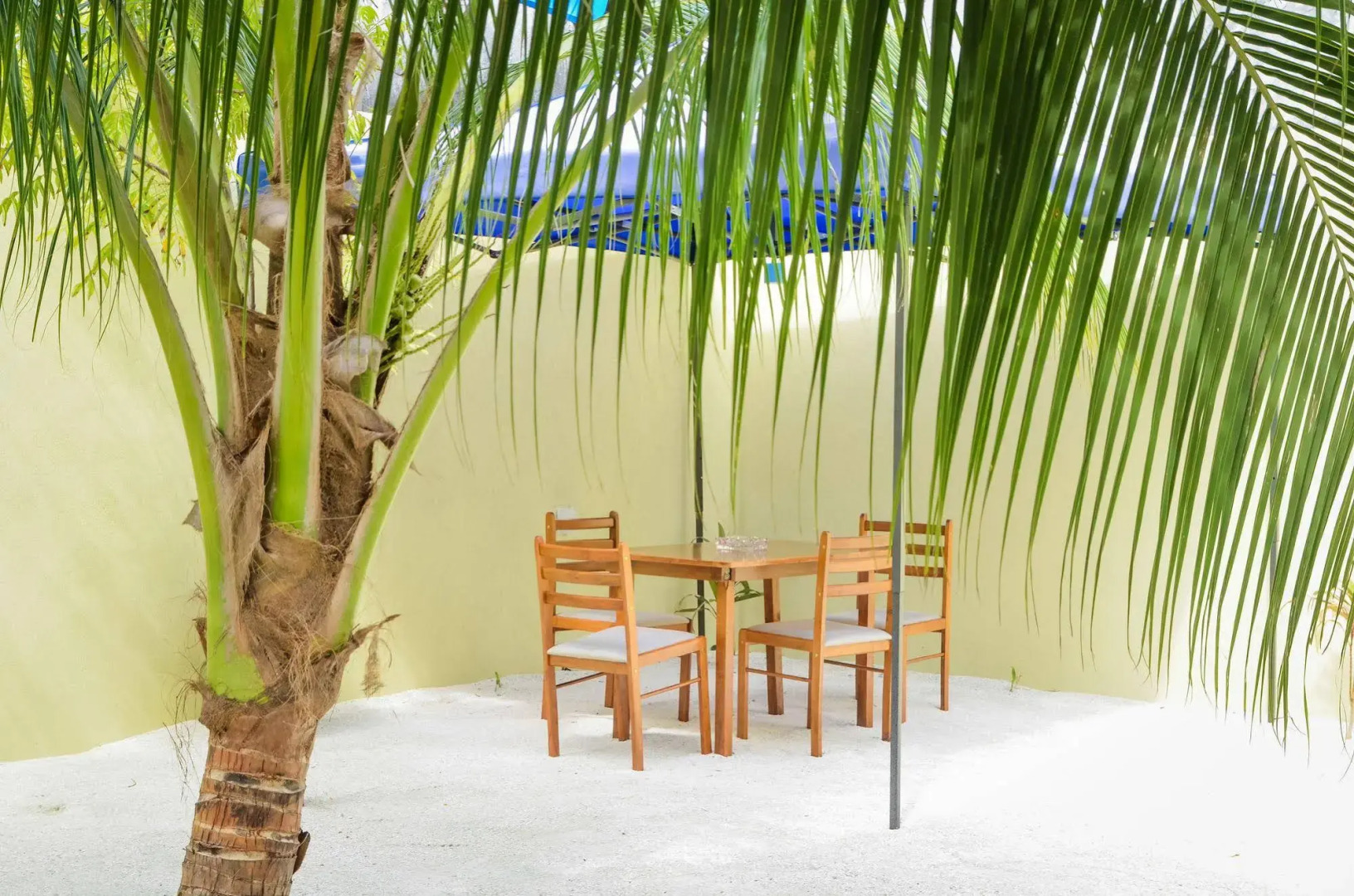 Whale Shark Inn Maldives