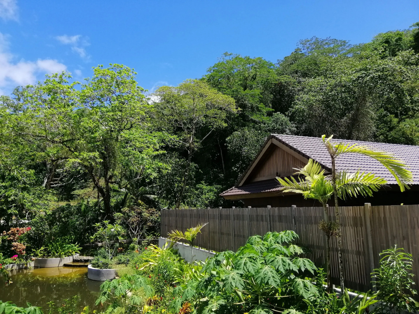 The Pristine Villas and Bungalows at Palau Pacific Resort