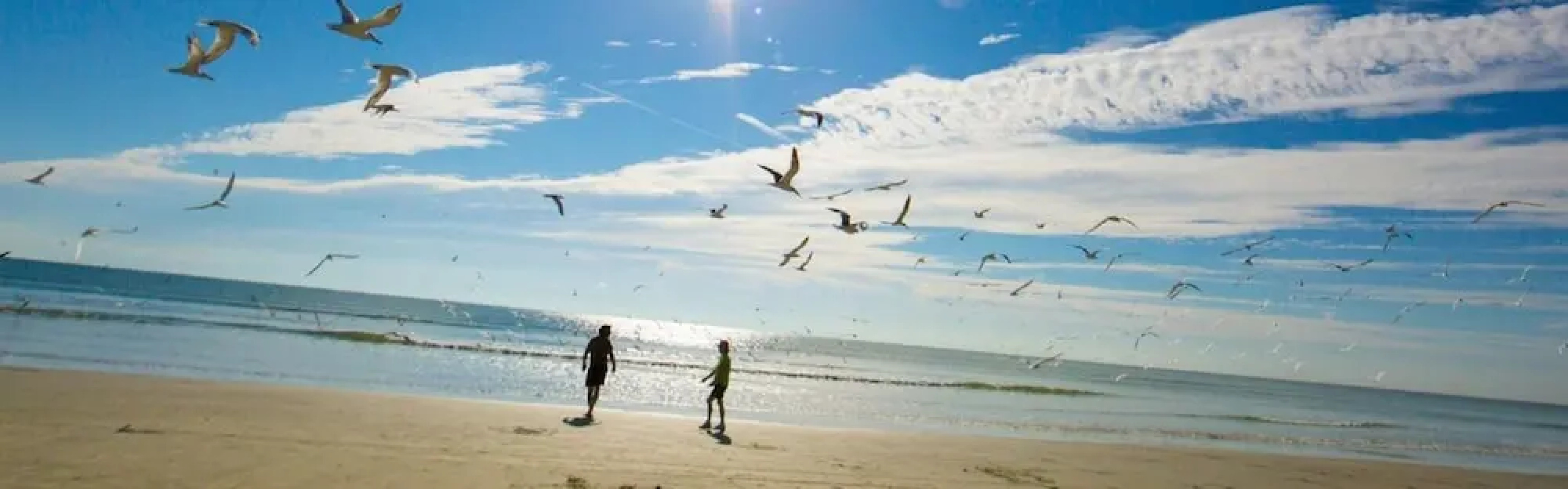 Cape canaveral beach resort