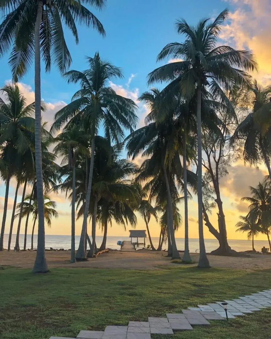 Pelican Beach Resort