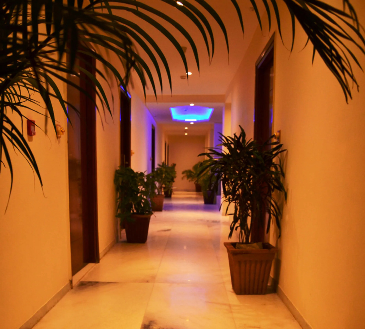 Lilypool - The Heritage Jalmahal