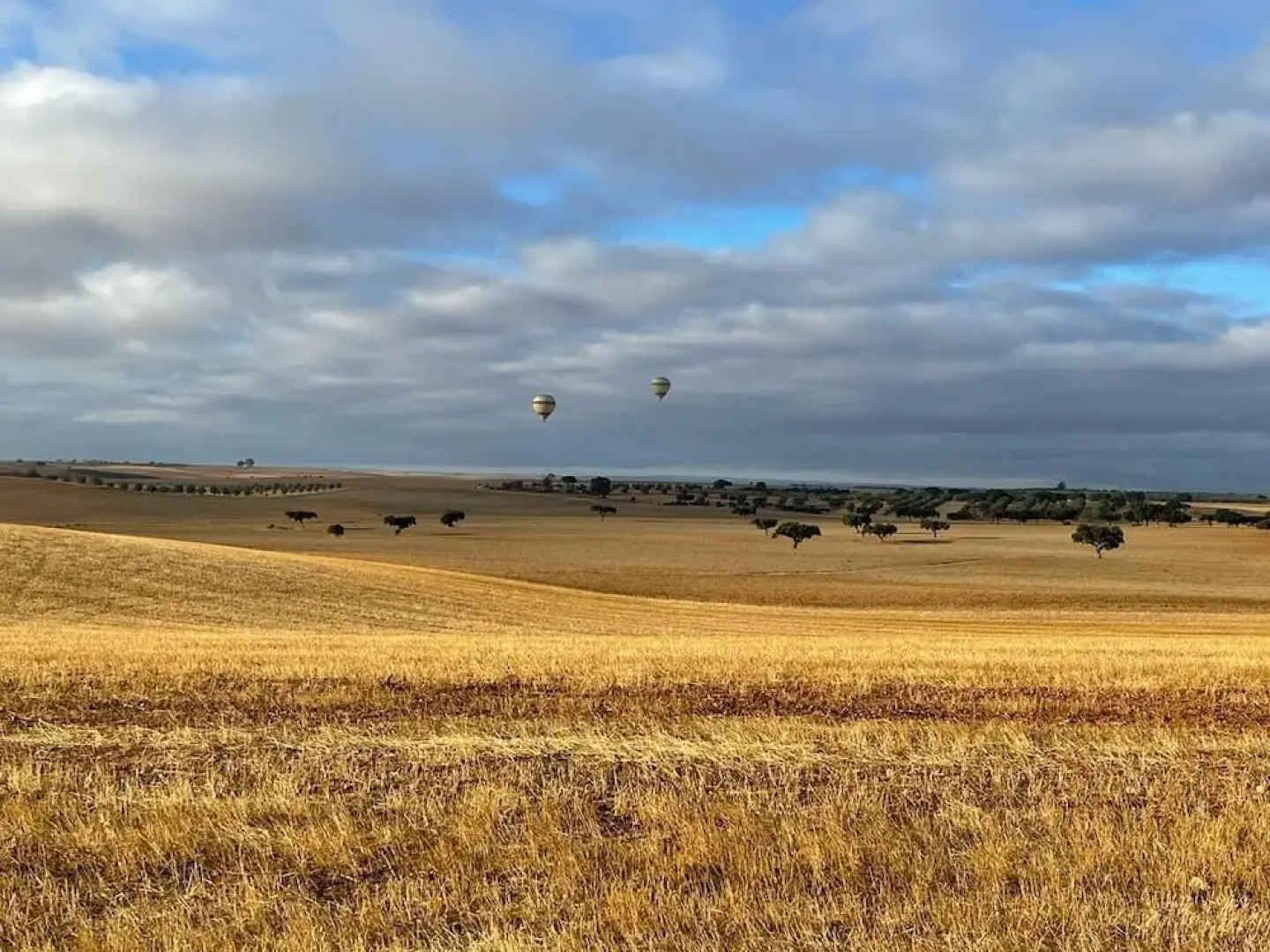 Monte Vale Organic Farm