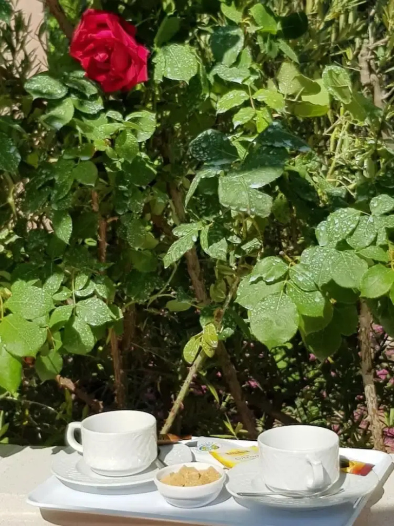 Chambres d'Hôtes Les Oliviers